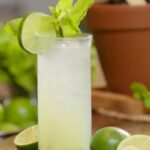 A mojito in a tall collins glass with limes around the bottom.