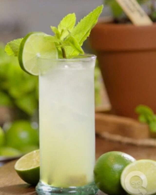 Mojito