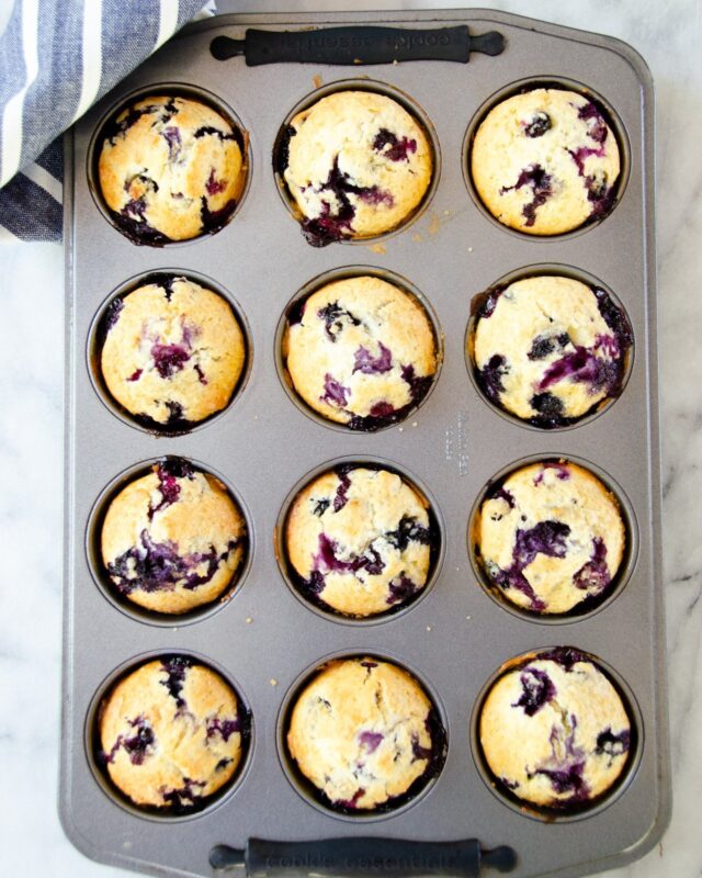 Blueberry Muffins