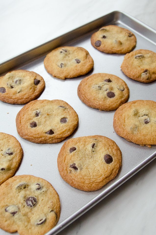 Chocolate chip cookies on a silver baking sheet.