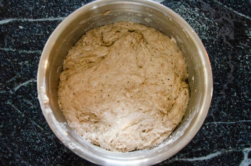 Whole wheat no knead bread dough after 18 hours of slow fermentation.