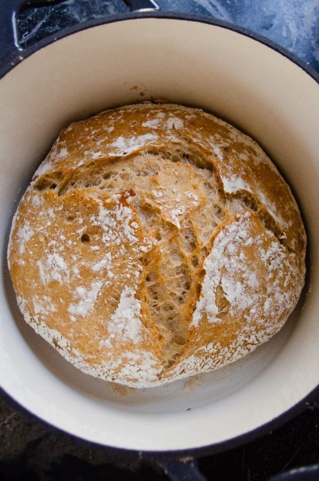 Whole wheat no knead bread after 30 minutes of baking in a cast iron pot.
