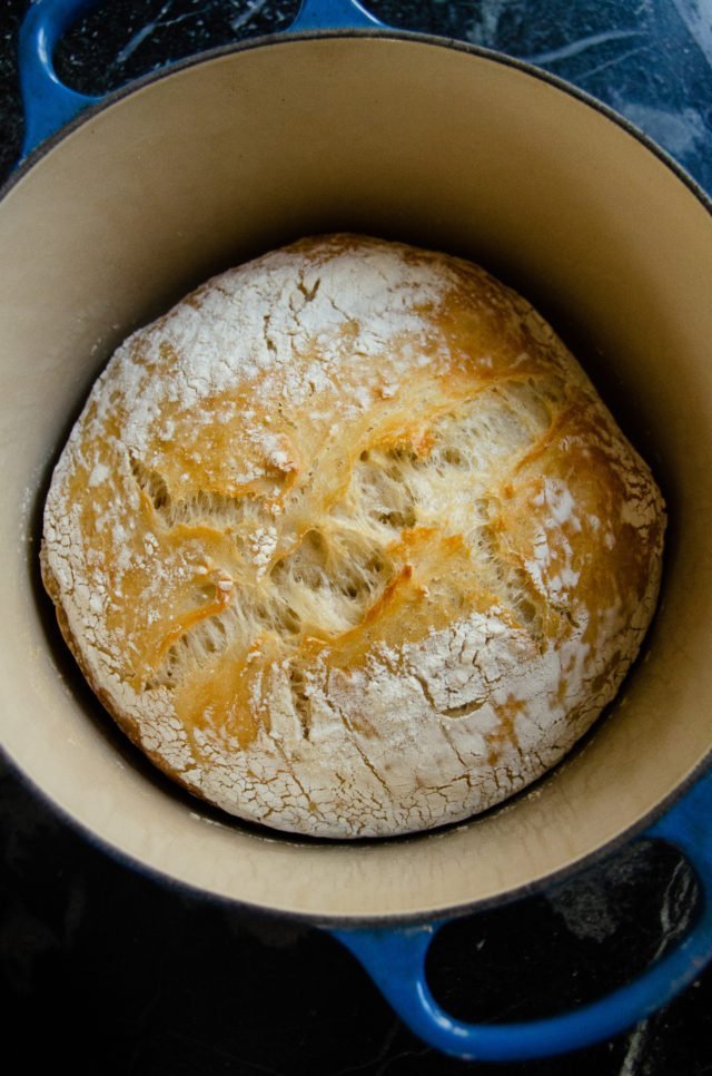 No Knead Bread after the first 30 minutes of baking in a cast iron pot.