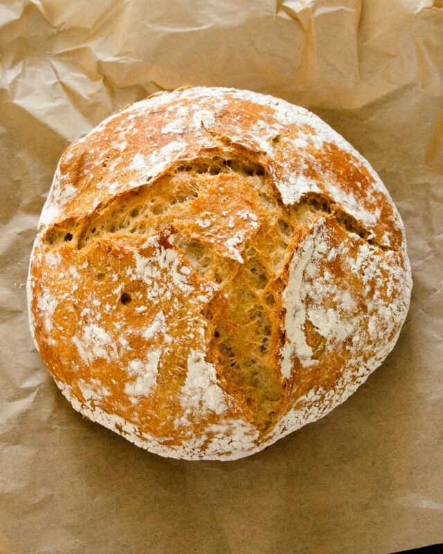 Whole Wheat No Knead Bread