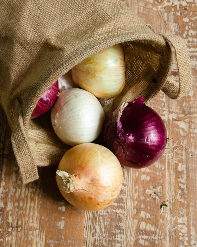 How to Cut an Onion