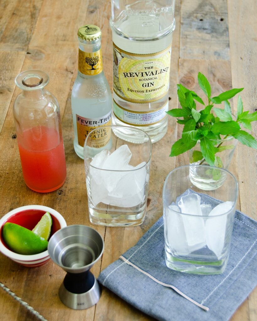 The ingredients for a rhubarb-mint gin and tonic.