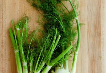 How to Cut Fennel
