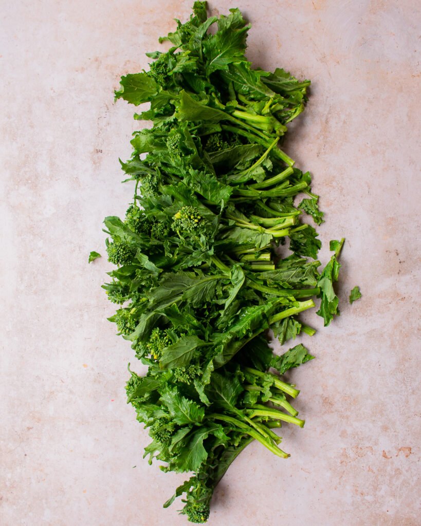 A bunch of broccoli rabe spread out on a counter.