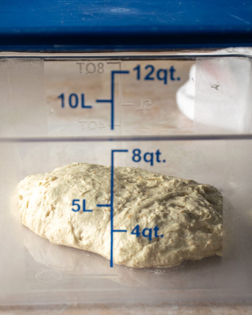 Sourdough dough in a transparent container.