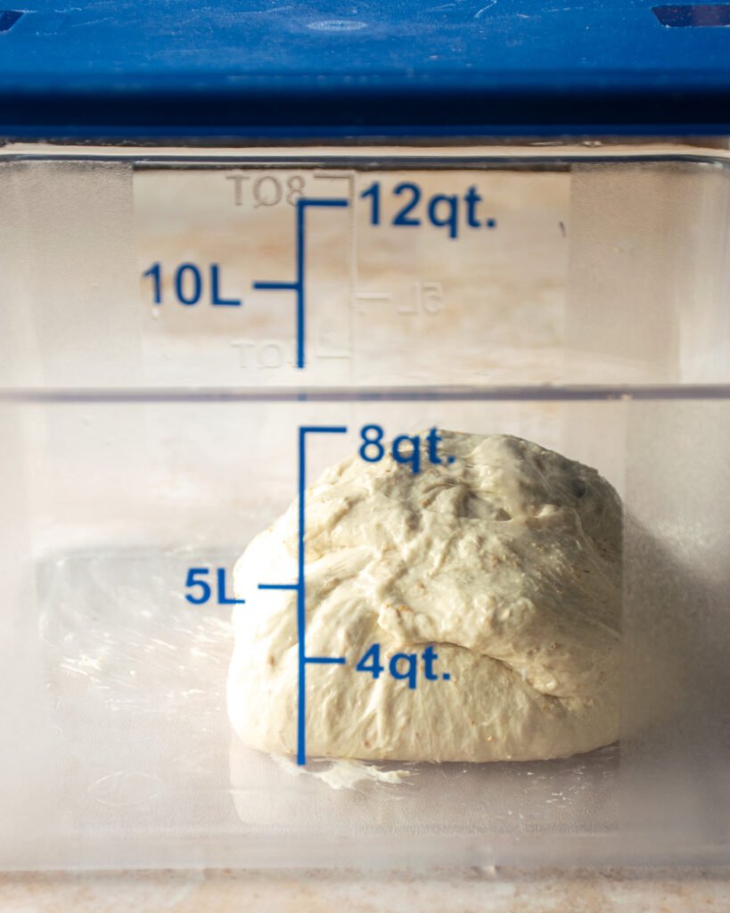 Bread dough in a container on a countertop.