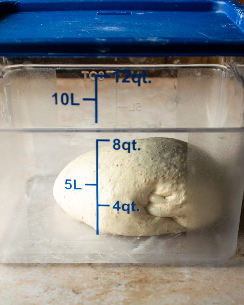 Bread dough in a transparent container on a countertop.