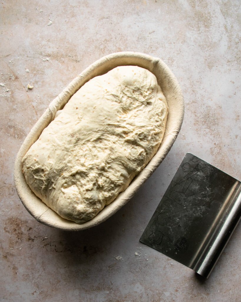 Sourdough bread in a banneton with a bench scraper on the counter beside it.