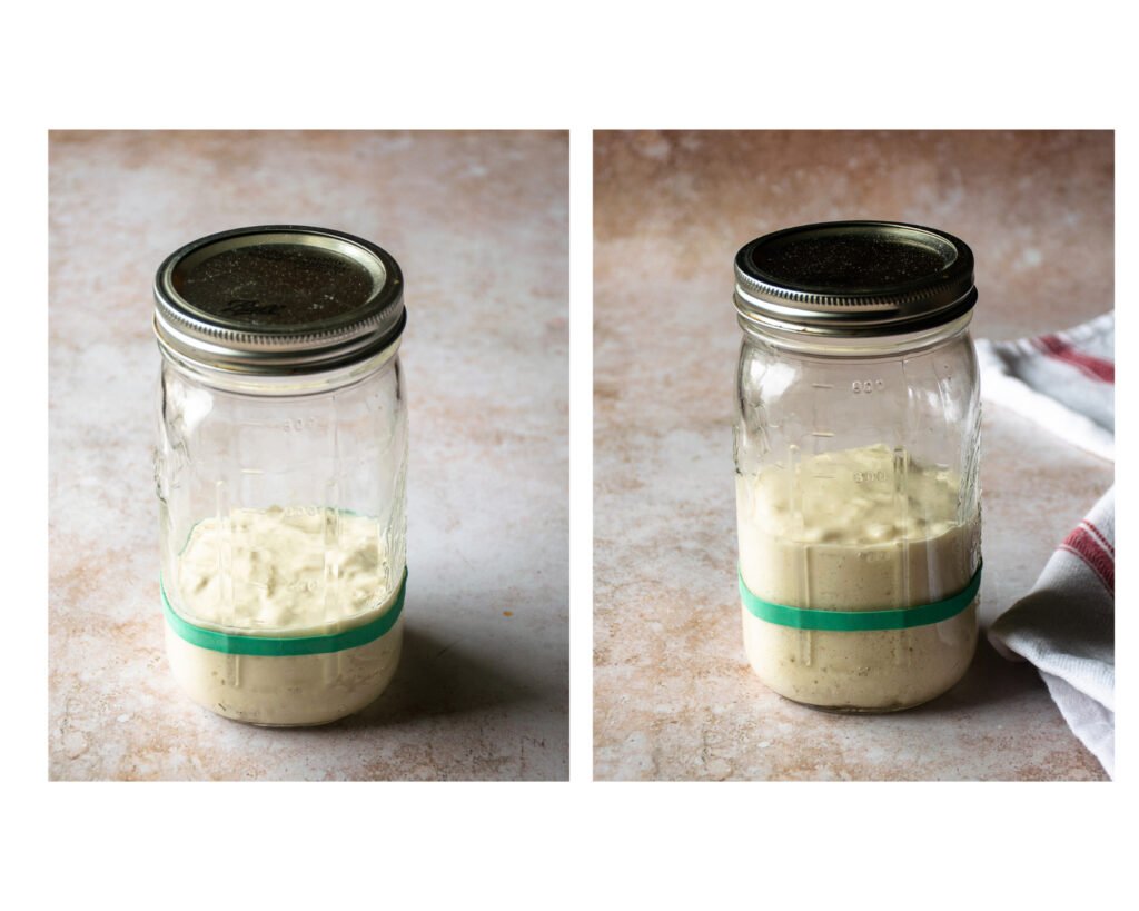 Two photos of sourdough leaven in a jar with a green elastic band on a counter.