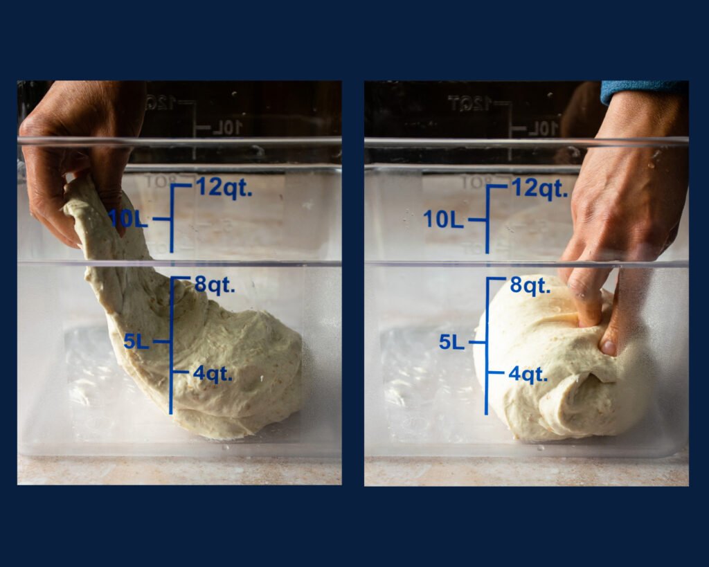 Two photos showing how to turn sourdough bread dough in a transparent container.