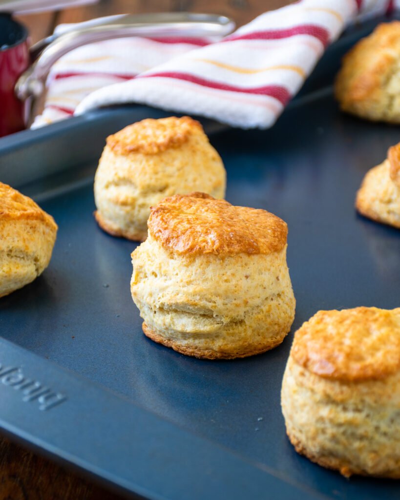 Sourdough buttermilk biscuits on a blue baking sheet with red and white striped towel in the background.