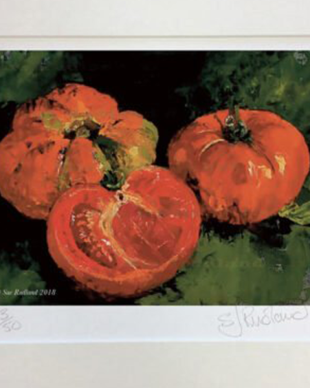 Ripe and Ready Tomatoes